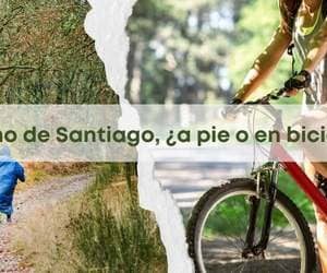 hacer el camino de Santiago a pie o en bicicleta