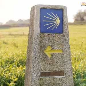 símbolos del camino de Santiago