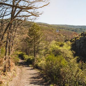 Vía de la Plata guía completa del Camino de Santiago
