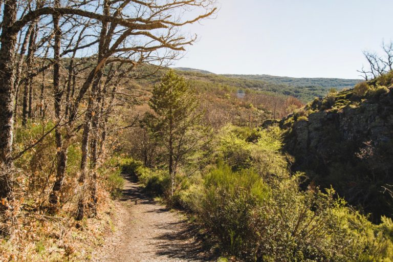 Vía de la Plata guía completa del Camino de Santiago